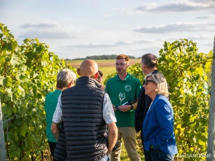 Visites du vignoble - Vignerons Indépendants