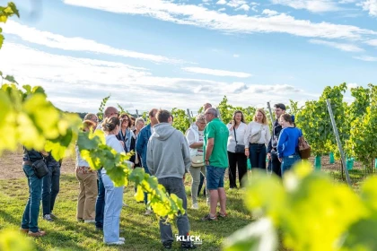 Visites du vignoble - Vignerons Indépendants