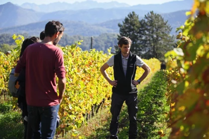 Voyage gourmand en Savoie : vins du domaine de l’Idylle et saveurs du terroir - Vignerons Indépendants