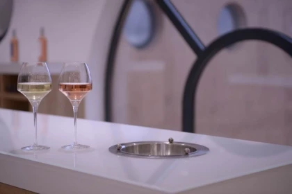 Winery tour and wine tasting (in english) - Vignerons Indépendants