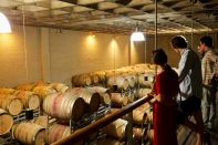 Visites guidées avec dégustation - Vignerons Indépendants
