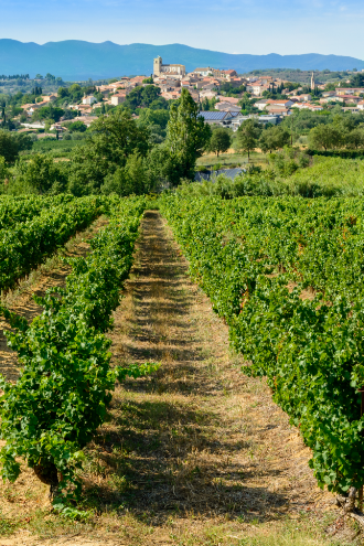 Languedoc - Roussillon