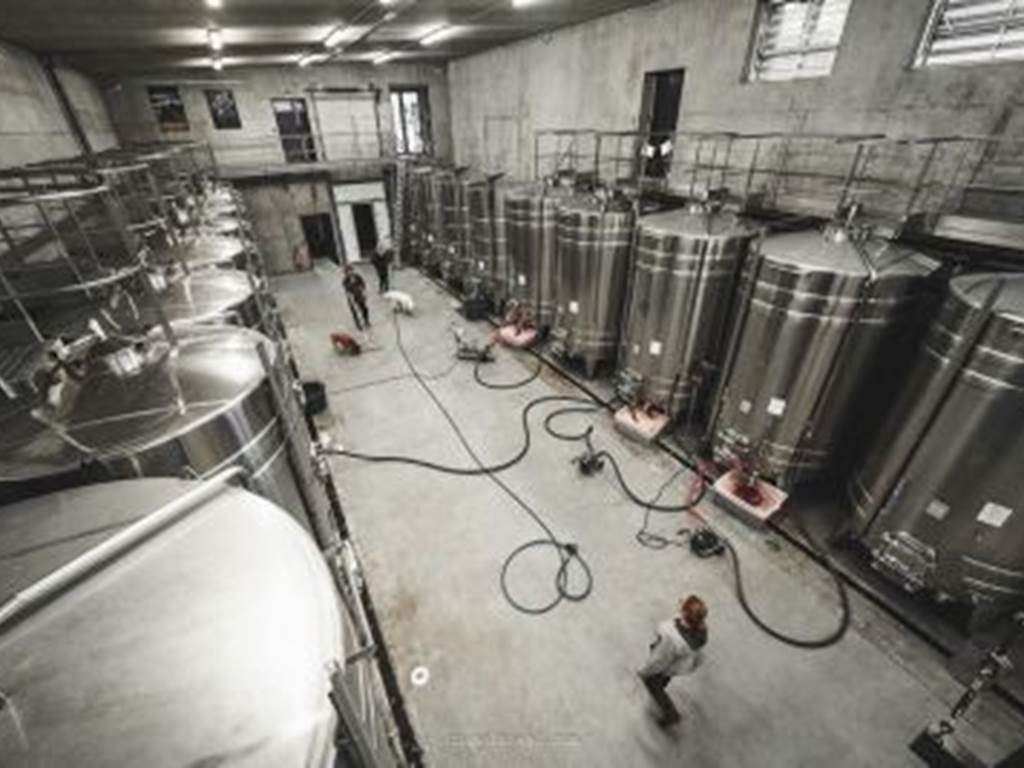 06.12.2025 - Atelier Découverte de l'élevage et de l'assemblage - Vignerons Indépendants