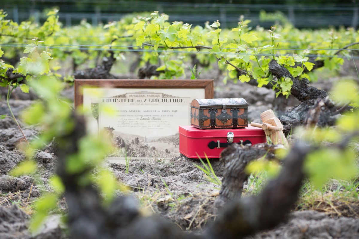 A la recherche de la Cuvée Perdue - Vignerons Indépendants