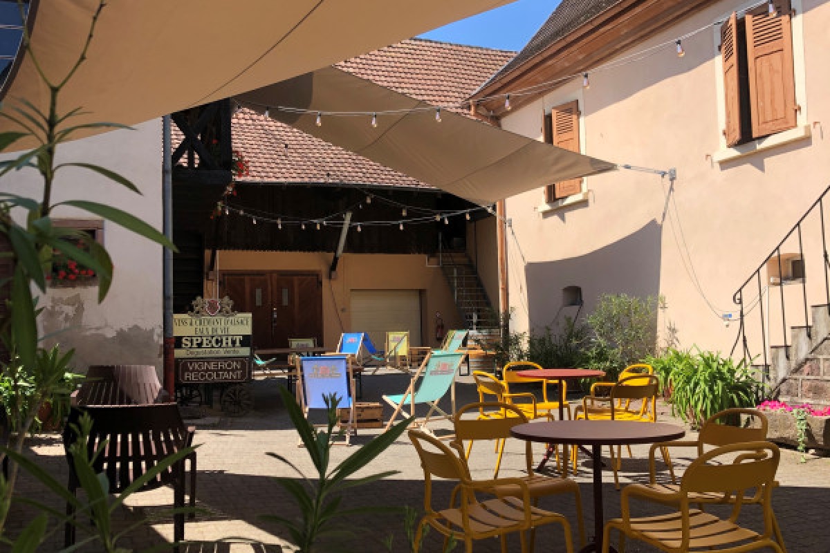 Apéro Gourmand : soirée conviviale au Domaine Specht - Vignerons Indépendants