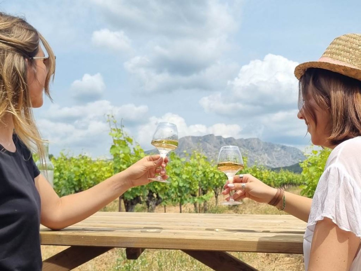 Apéro Sunset dans les vignes - Vignerons Indépendants