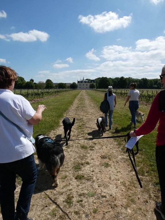 APERO TOUTOU - Vignerons Indépendants