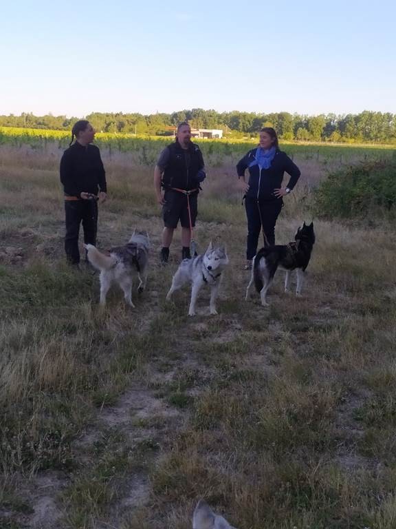 APERO TOUTOU - Vignerons Indépendants