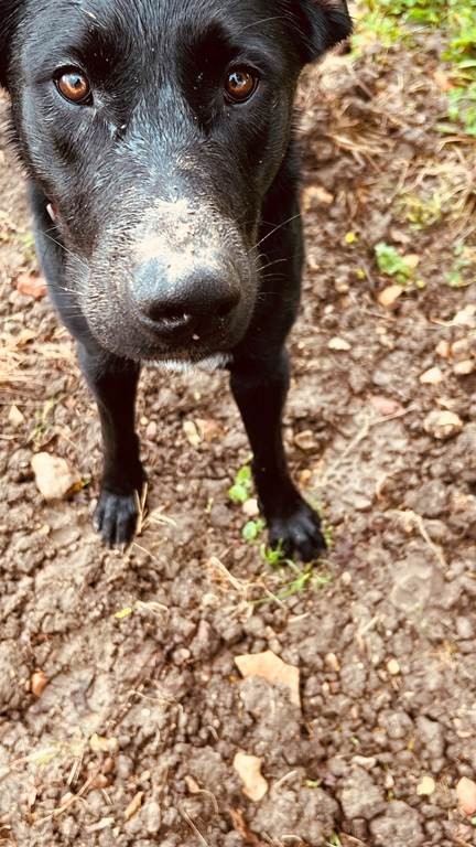 APERO TOUTOU - Vignerons Indépendants