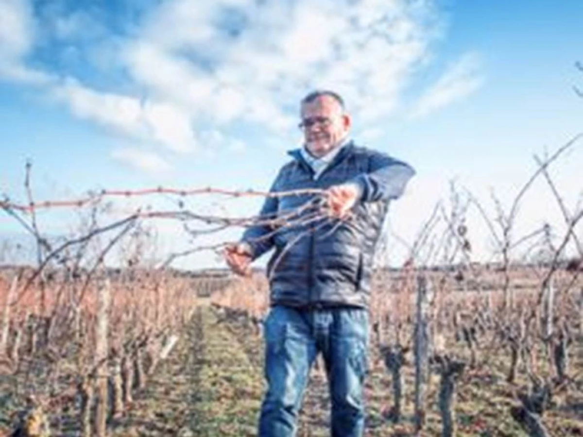 Atelier découverte de la taille 15 Mars 2025 - Vignerons Indépendants