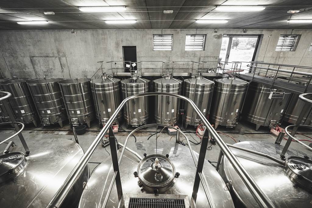 Atelier découverte de la taille le 28.03.2026 - Vignerons Indépendants