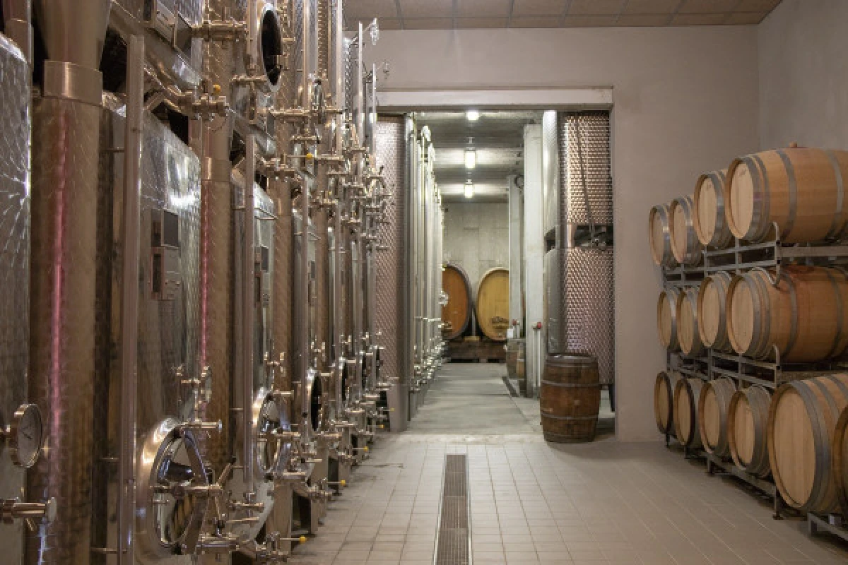 Atelier Découverte des Vins d'Alsace et Visite de Cave - Vignerons Indépendants