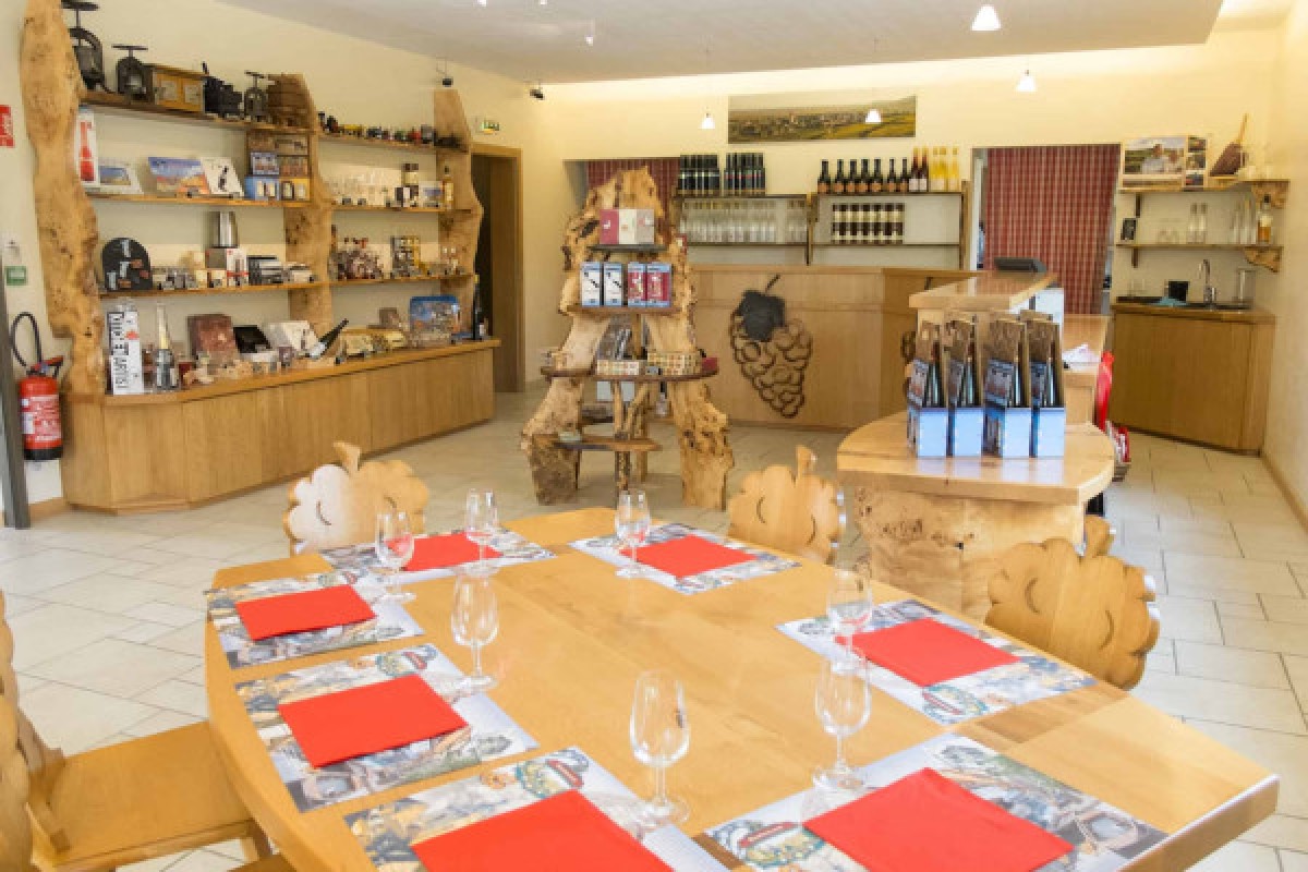 Atelier Découverte des Vins d'Alsace et Visite de Cave - Vignerons Indépendants