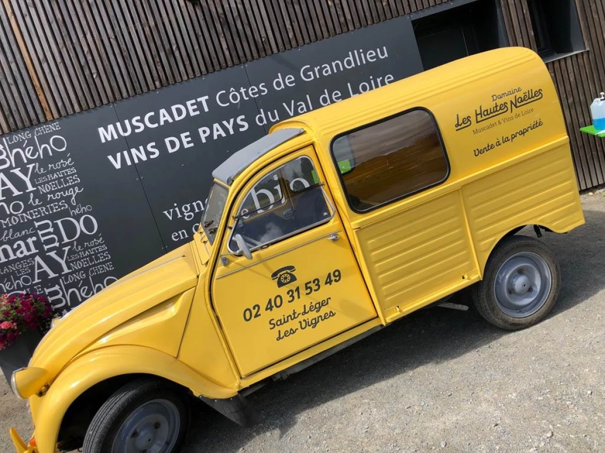Atelier découverte du domaine - Vignerons Indépendants