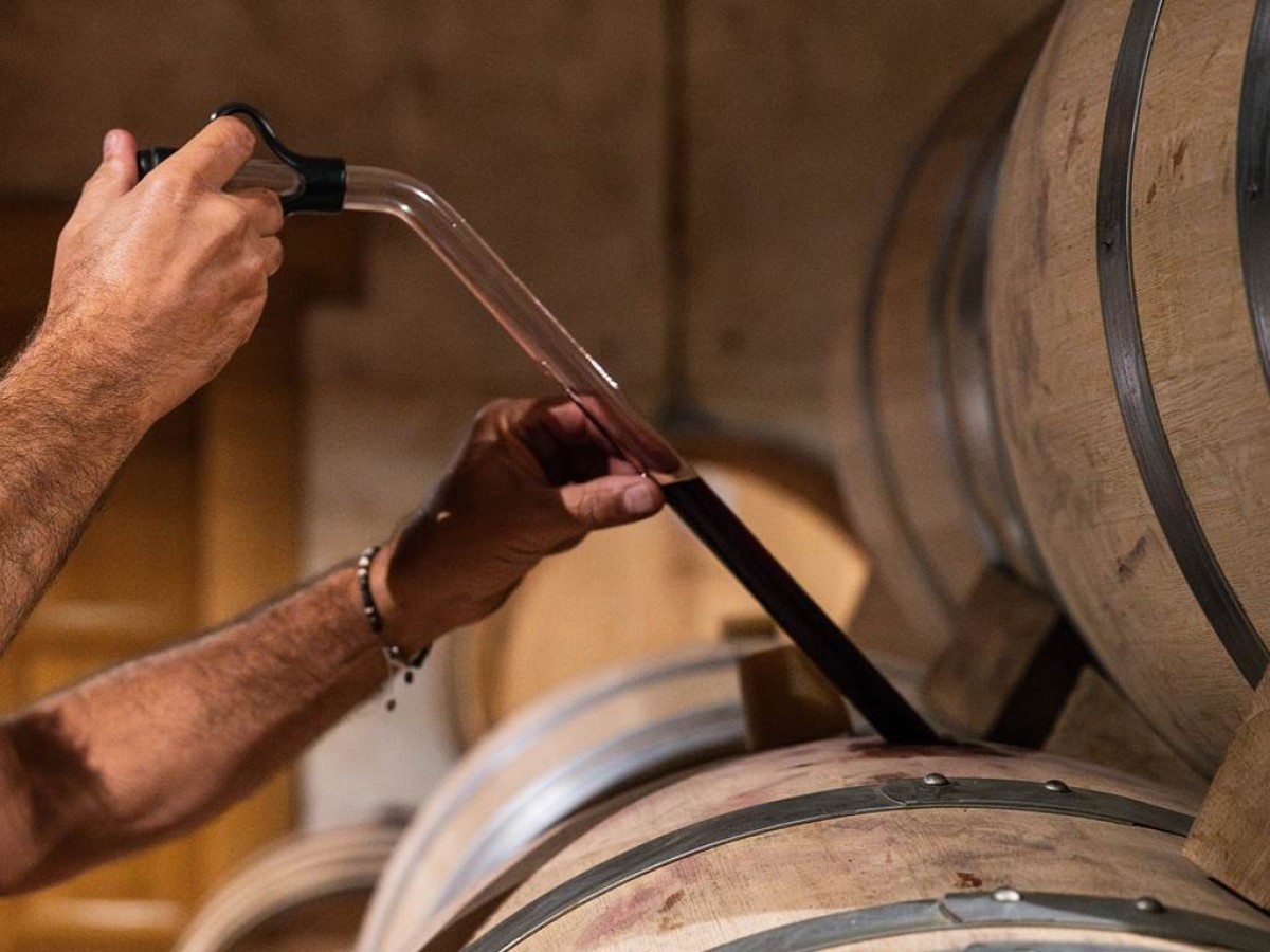 Atelier Dégustation sur barrique - Vignerons Indépendants