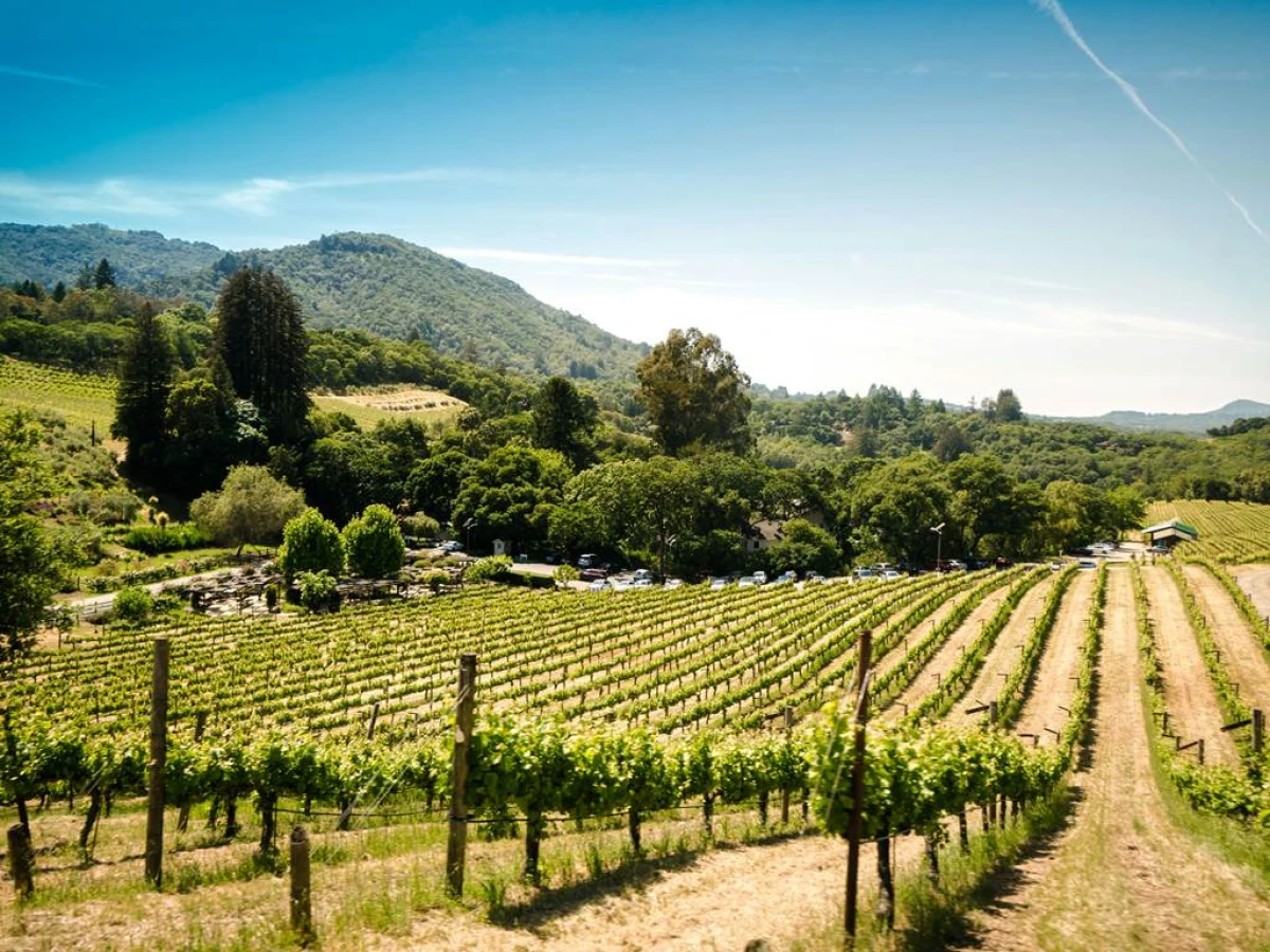 Atelier dégustation - Vignerons Indépendants