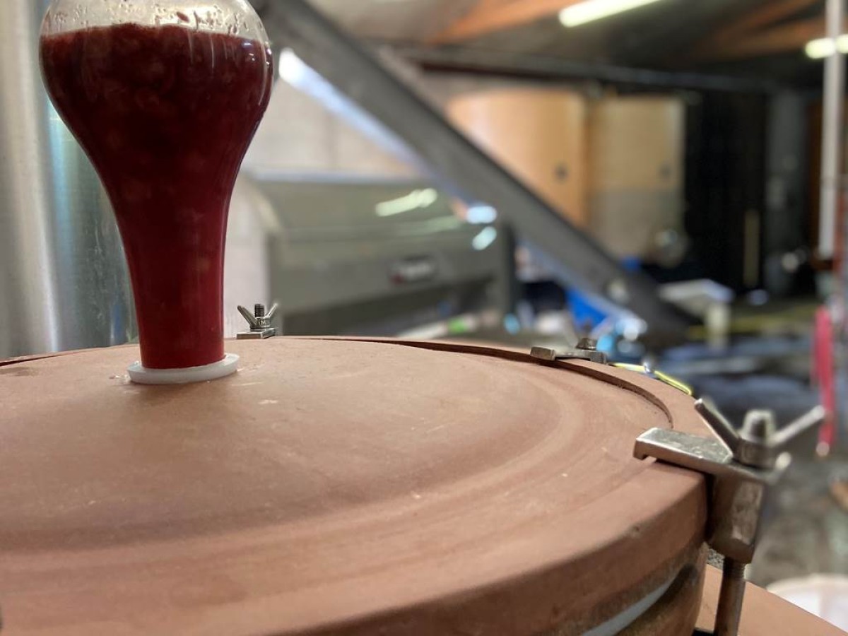 Atelier Oenologie - Vignerons Indépendants