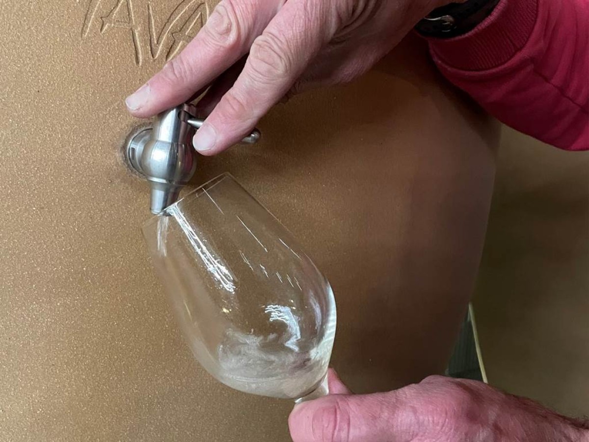 Atelier Oenologie - Vignerons Indépendants