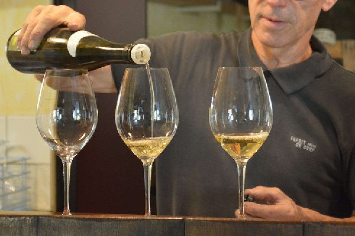 Atelier "Peinture et Vin" - Vignerons Indépendants