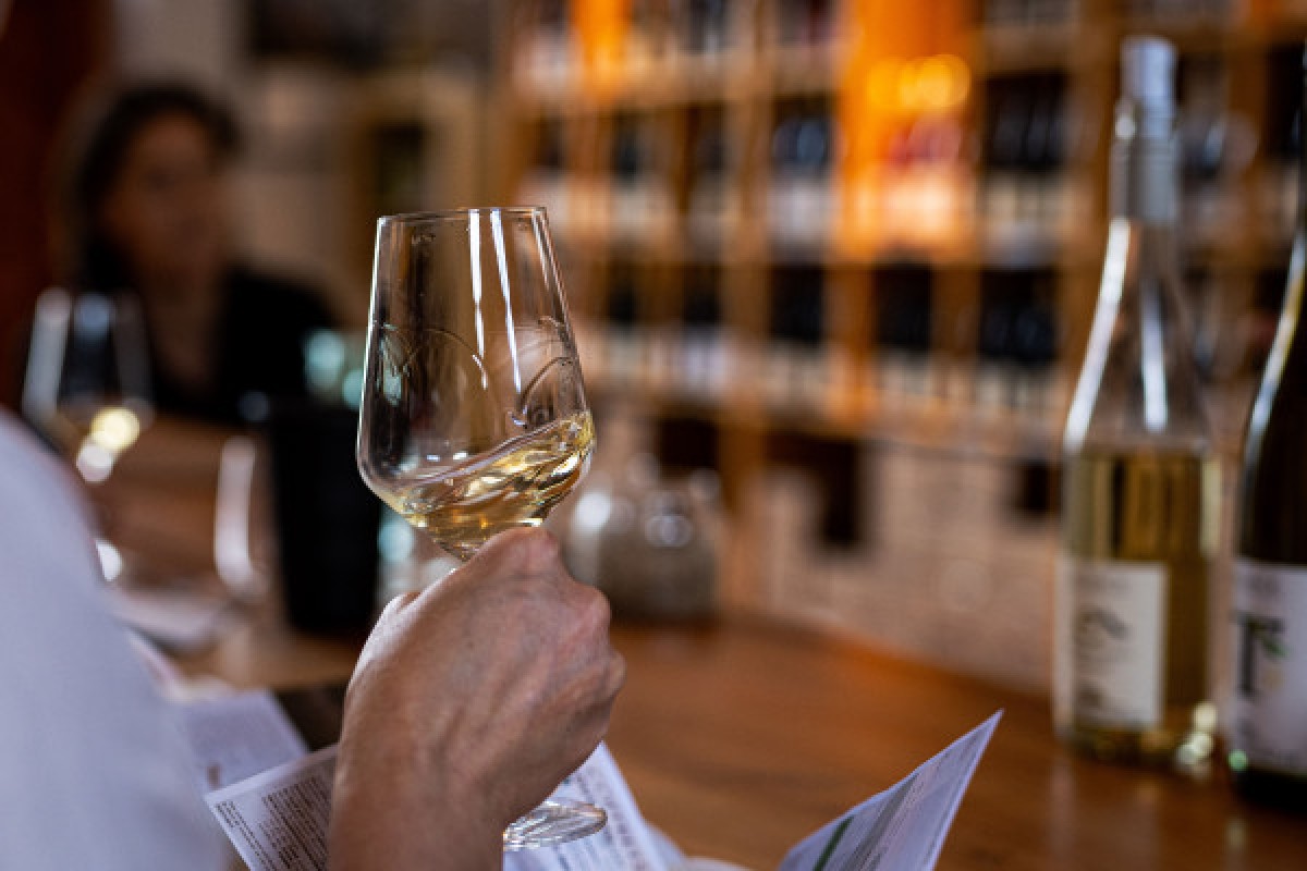 ATELIER SENSORIEL ET DEGUSTATION LUDIQUE - Vignerons Indépendants