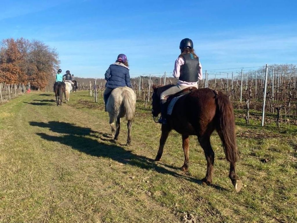 Balade à cheval et dégustation de vins - Vignerons Indépendants