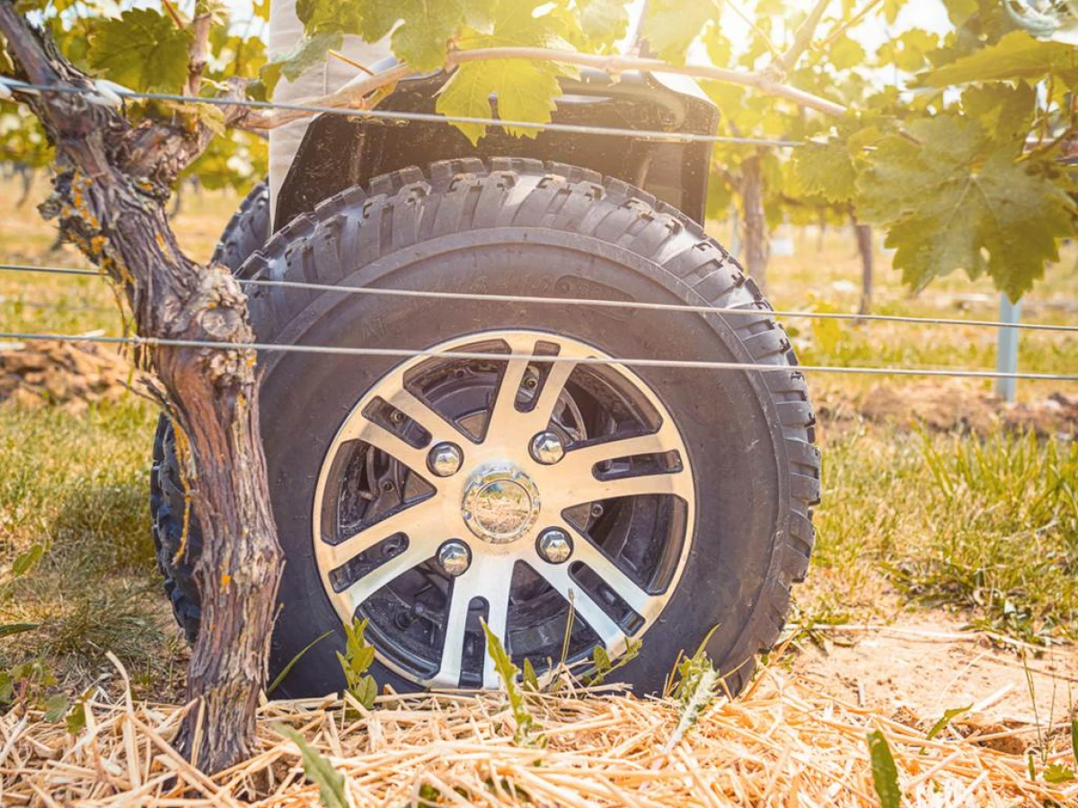 Balade en gyropode ou trottinette électrique dans le vignoble et visite dégustation - Vignerons Indépendants