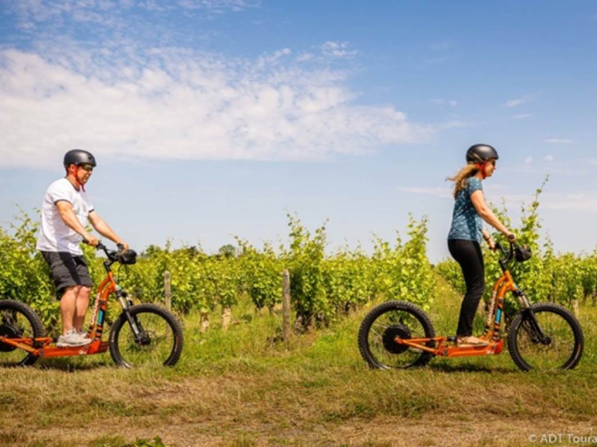 Balade en gyropode ou trottinette électrique dans le vignoble et visite dégustation - Vignerons Indépendants