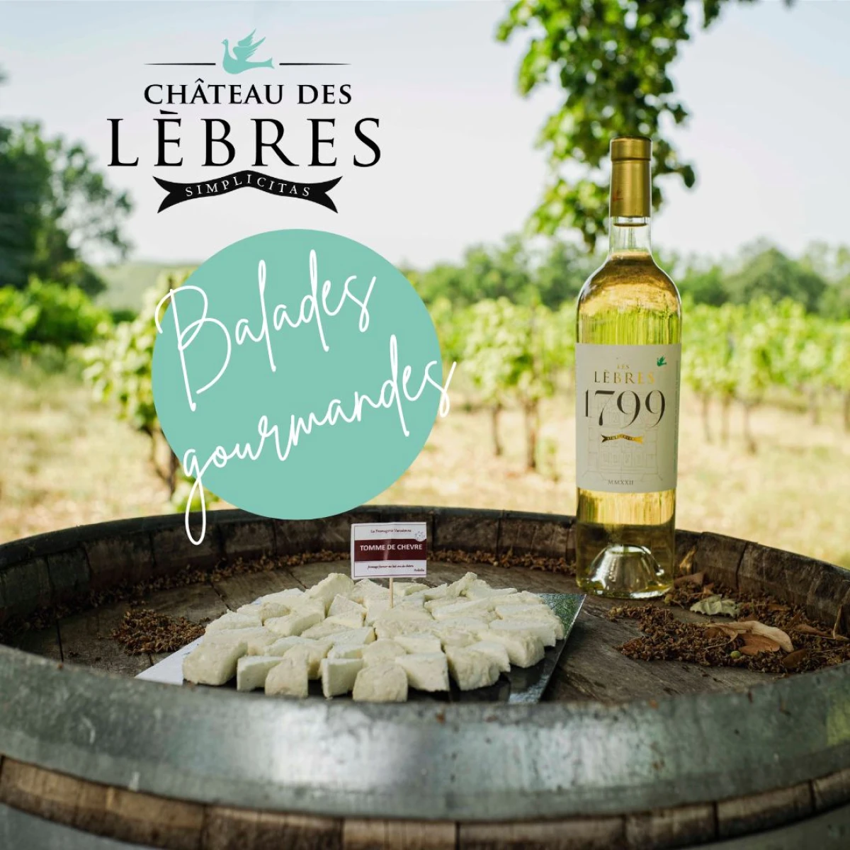 Balade gourmande dans les vignes - Les mardi de  juillet & août - Vignerons Indépendants