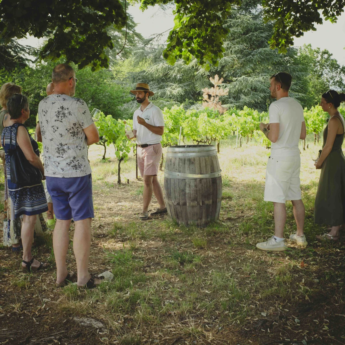 Balade gourmande dans les vignes - Les mardi de  juillet & août - Vignerons Indépendants
