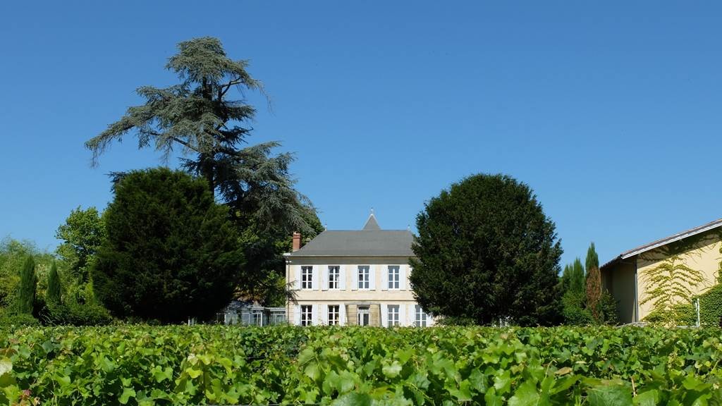 Balade immersive dans les vignes de Jouvente - Vignerons Indépendants