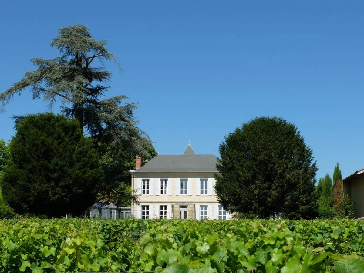 Balade immersive dans les vignes de Jouvente - Vignerons Indépendants