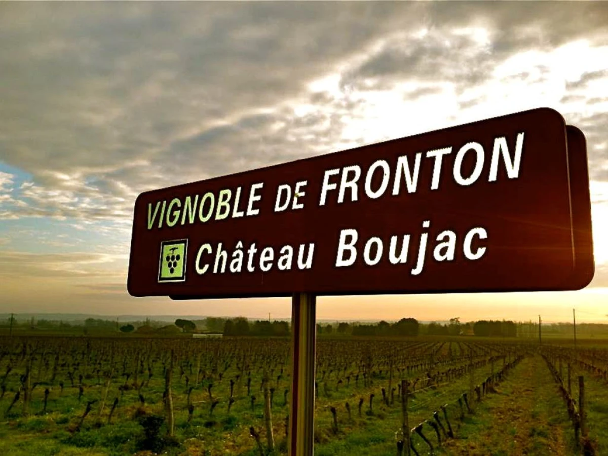Balade « la vigne dans tout les sens & Pique-nique » - Vignerons Indépendants