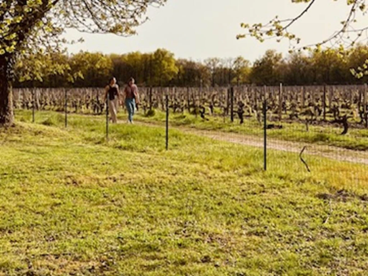 Balade "Le Chenin des Ecoliers" - Vignerons Indépendants