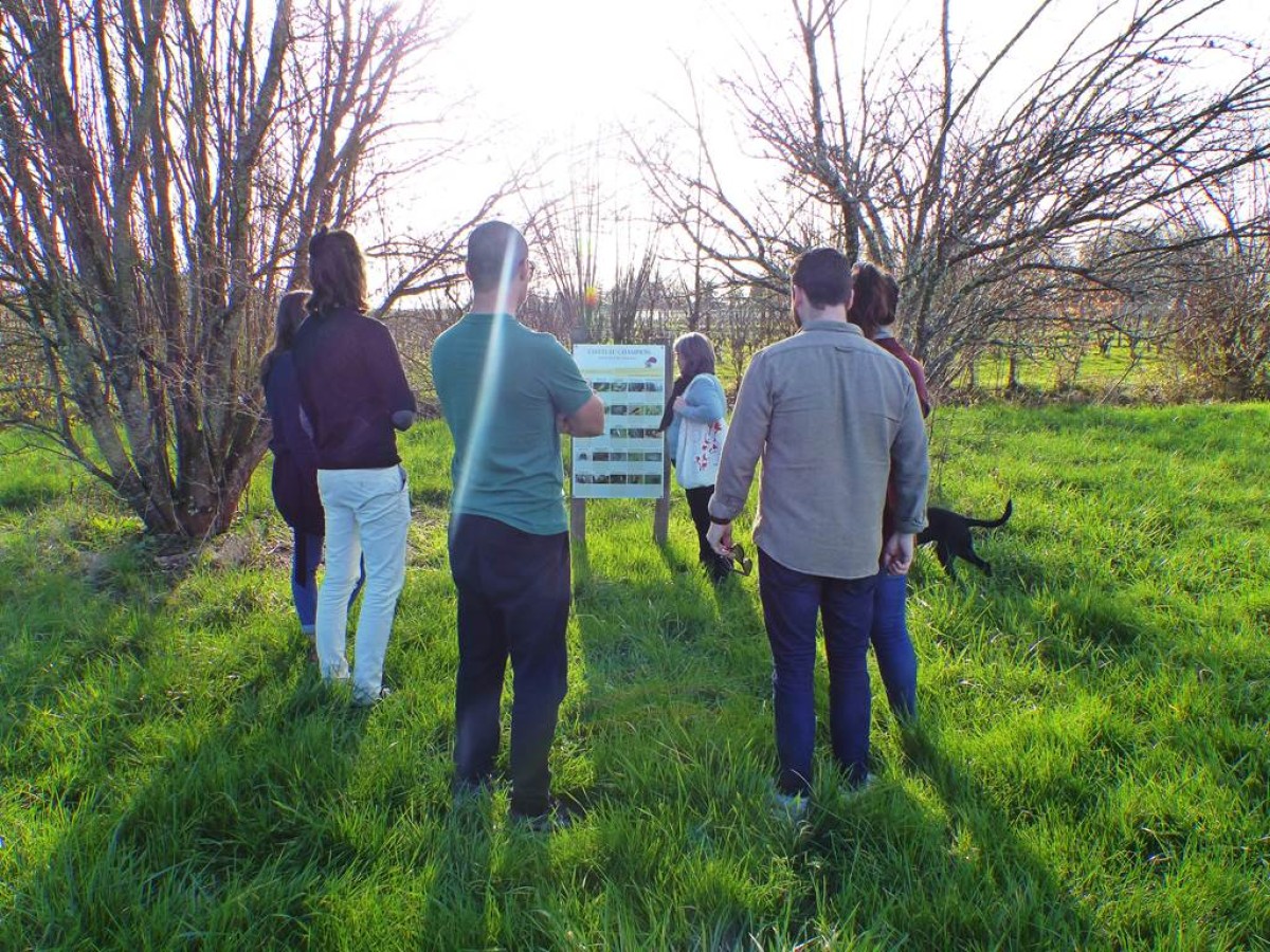 Balade Nature & Vins - Vignerons Indépendants