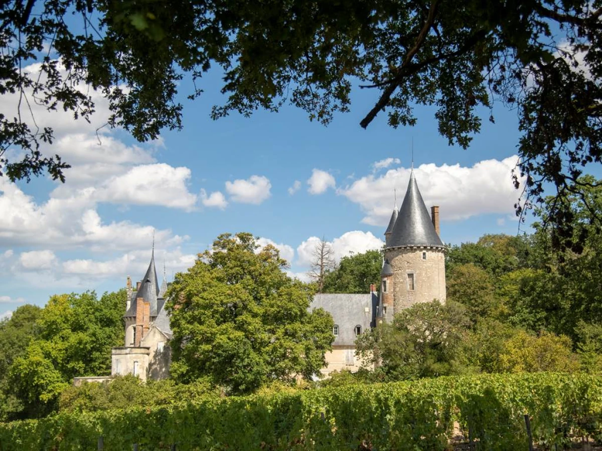 Balade Privée - Au Cœur des Vignes - Vignerons Indépendants
