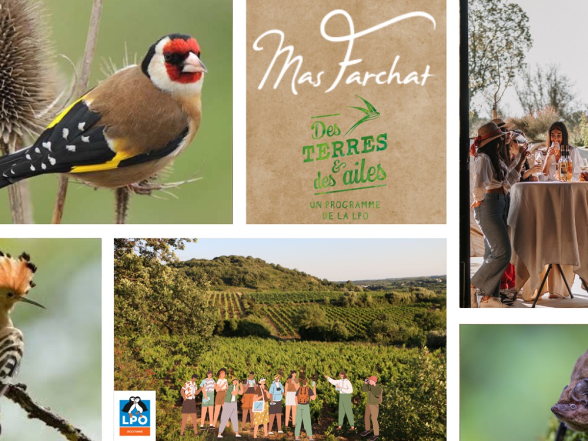 Biodiversité & Pause Gourmande - Vignerons Indépendants