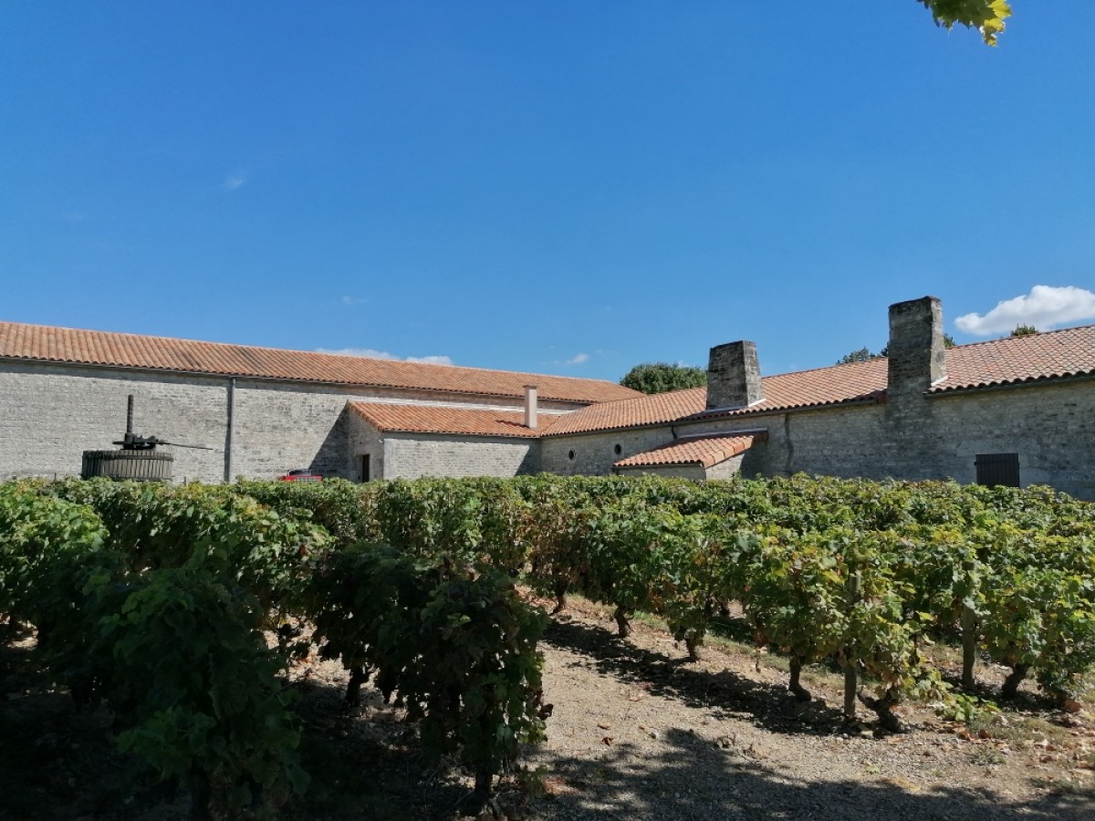 BON CADEAU "Découverte de Villemont" - Vignerons Indépendants