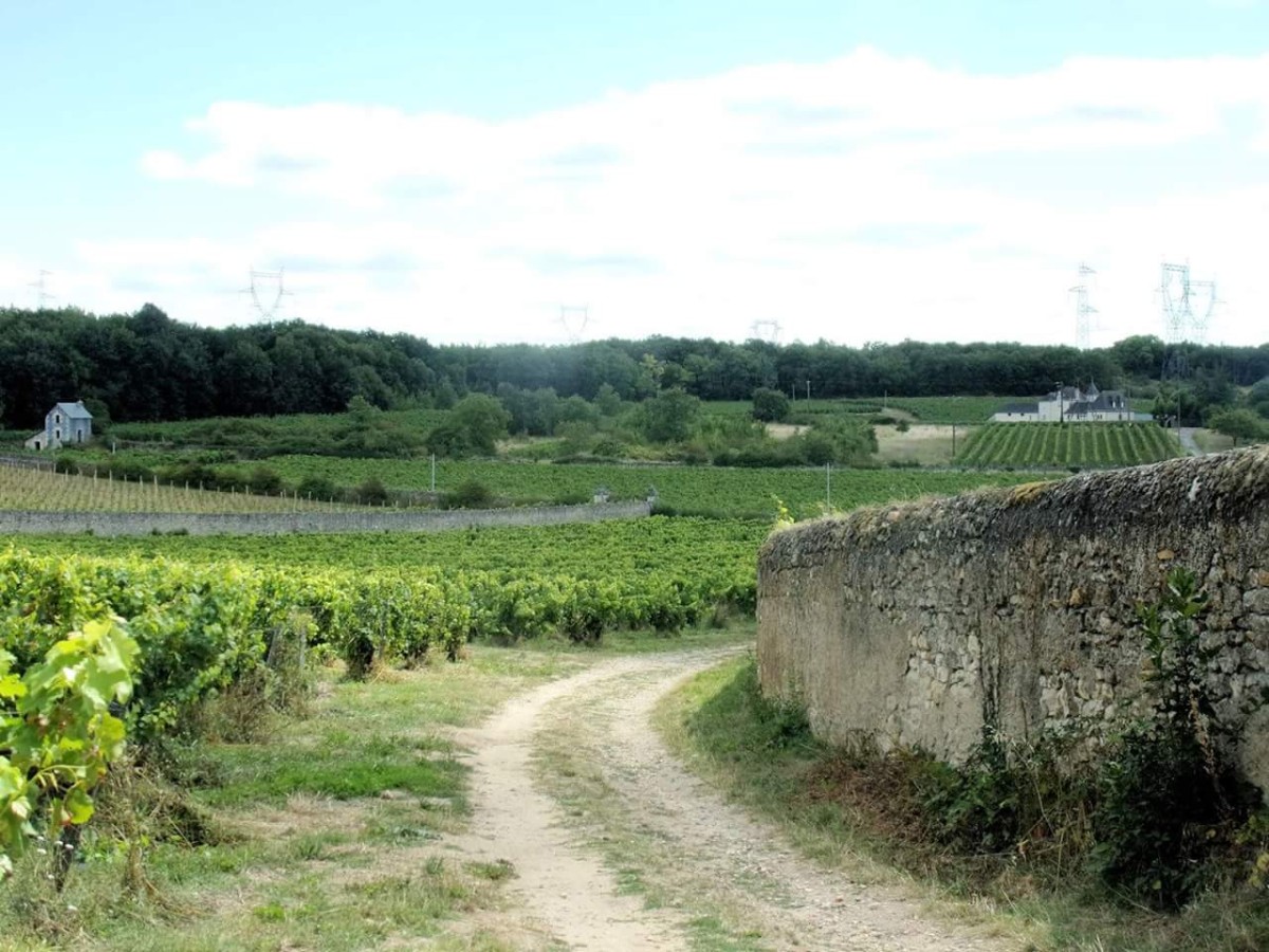 Bon cadeau pour une Randonnée pédestre 2 personnes - Vignerons Indépendants