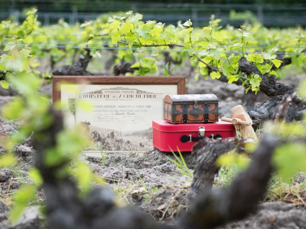 CHASSE AU TRESOR, A la recherche de la Cuvée Perdue - Vignerons Indépendants