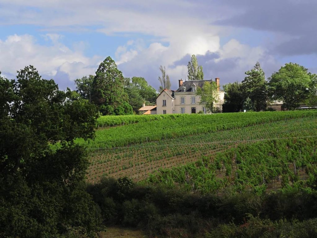 Château de la Viaudière - Vignerons Indépendants