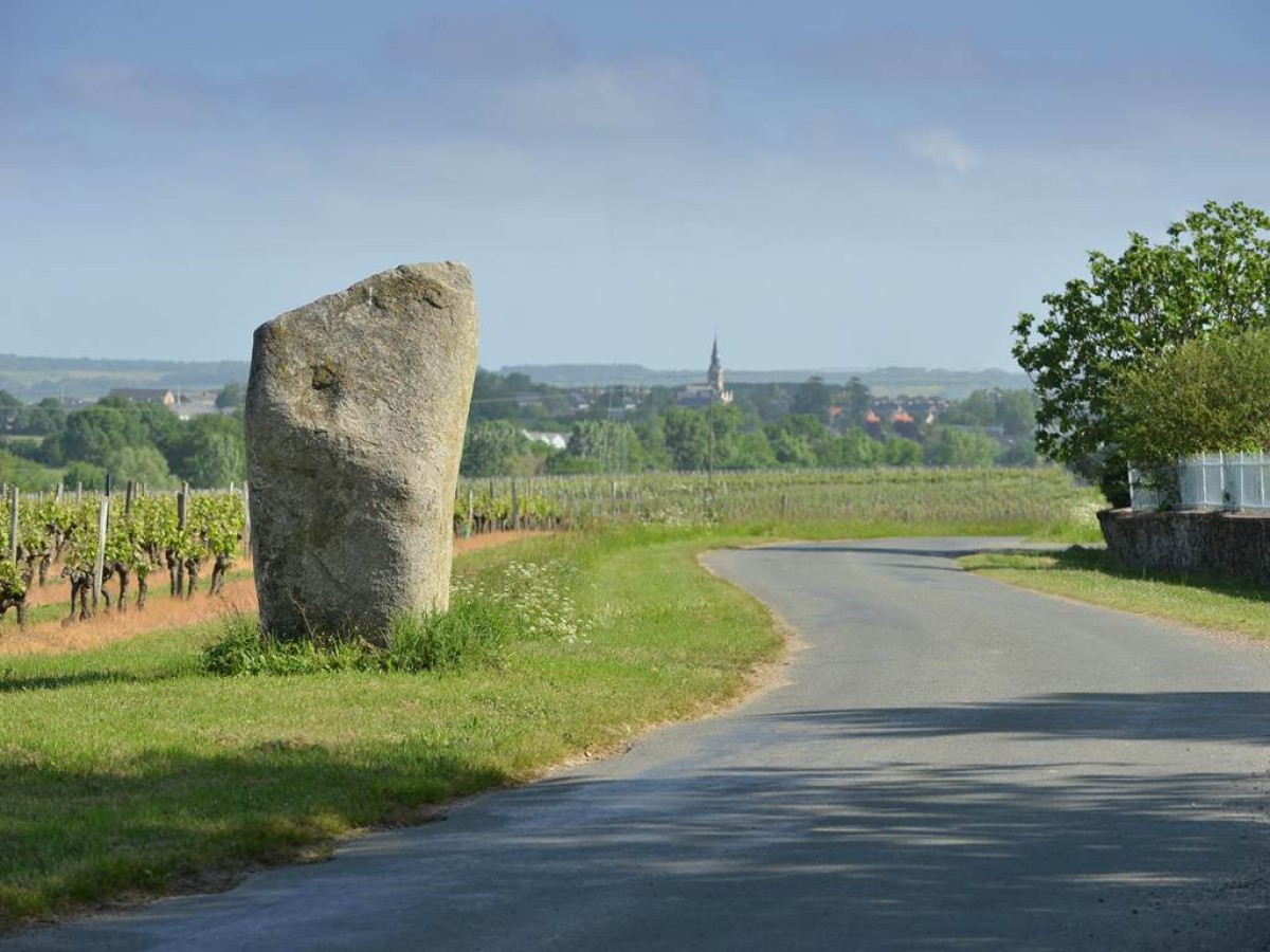 Château de la Viaudière - Vignerons Indépendants
