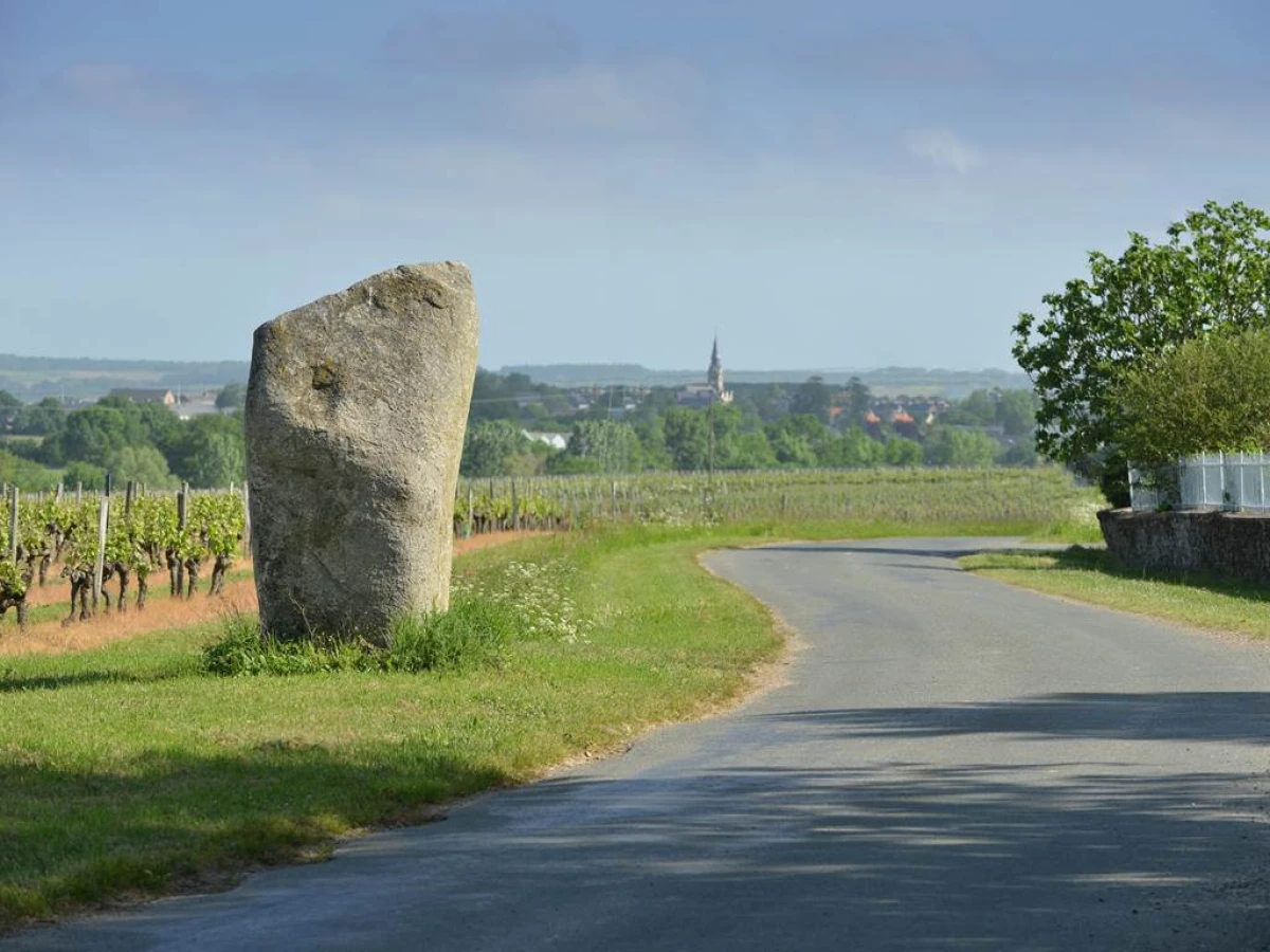 Château de la Viaudière - Vignerons Indépendants