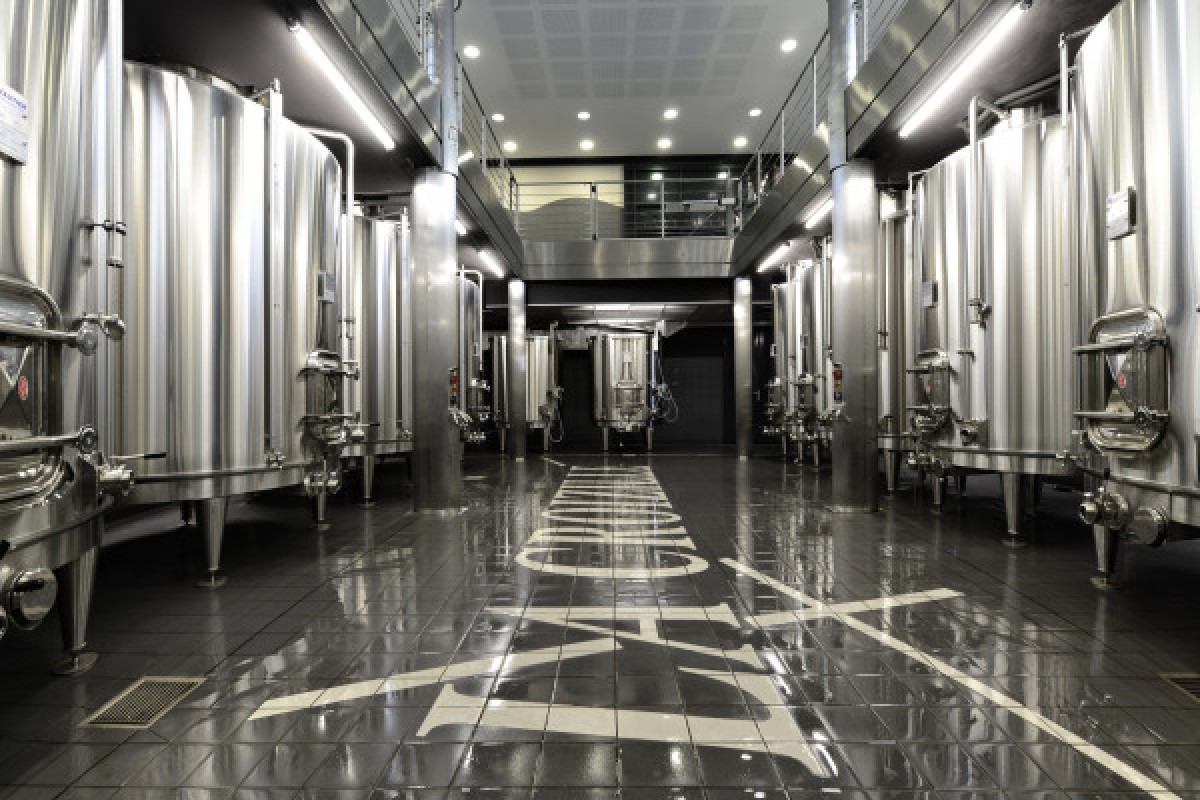 Dégustation Gourmande & Accords Mets-Vins : 2 Châteaux Saint-Émilion Grand Cru Classé - Vignerons Indépendants