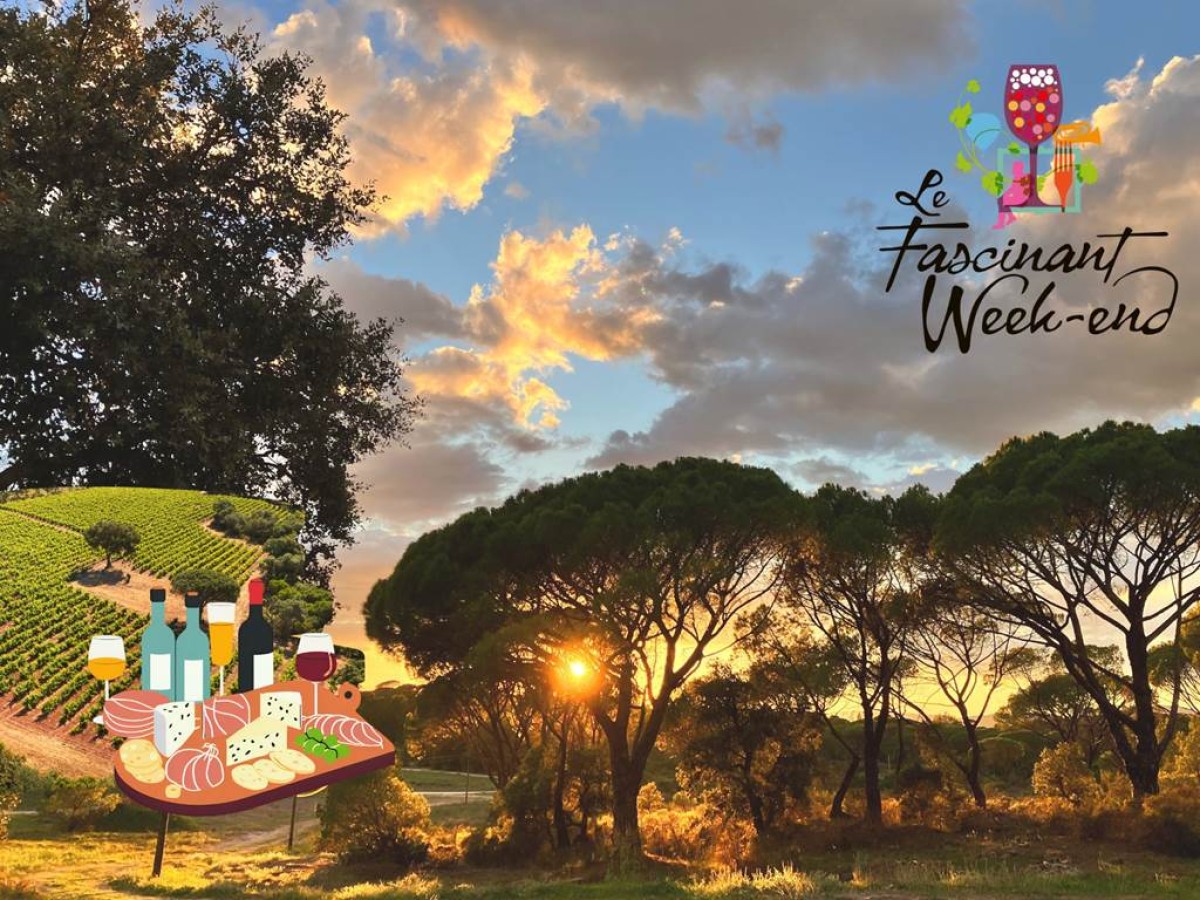 Coucher de soleil gourmand dans les vignes - Vignerons Indépendants