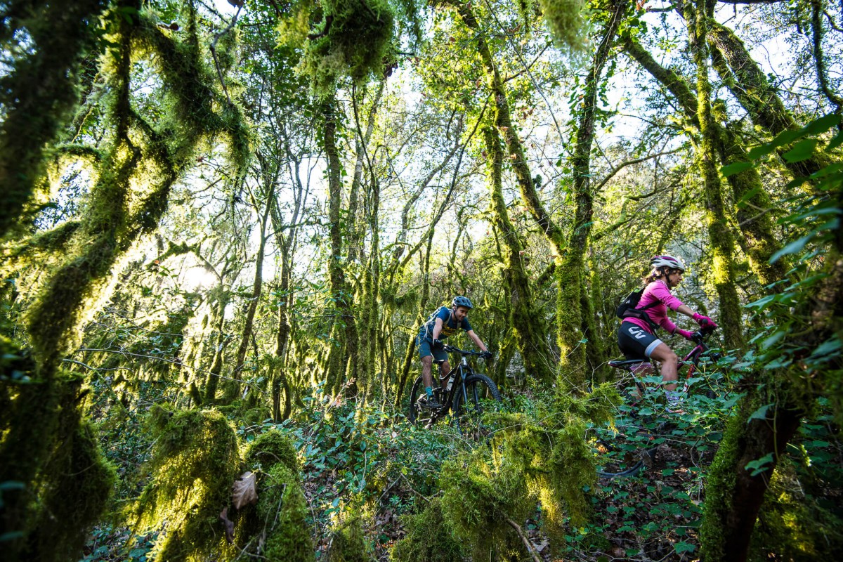 Cours collectif VTT Stade XCO Salavas - Vignerons Indépendants