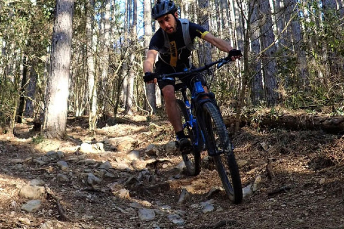 Cours particulier - Vignerons Indépendants