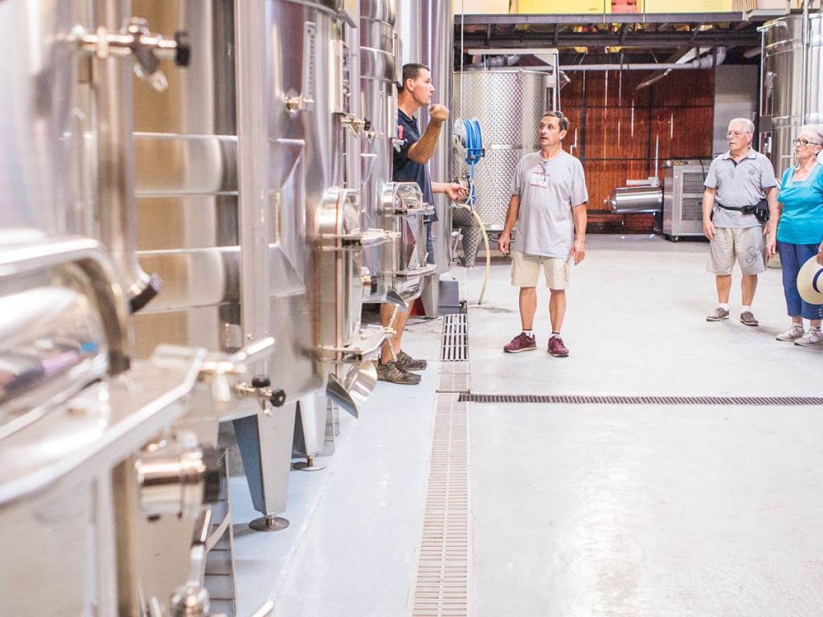 DANS LES COULISSES DU VIN : Visite Guidée de la cave & Dégustation Commentée - Vignerons Indépendants