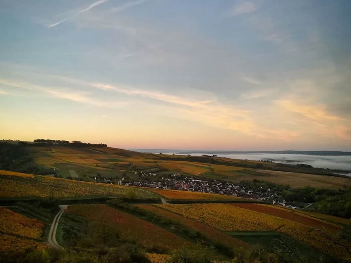 De gîtes en vignes - Vignerons Indépendants