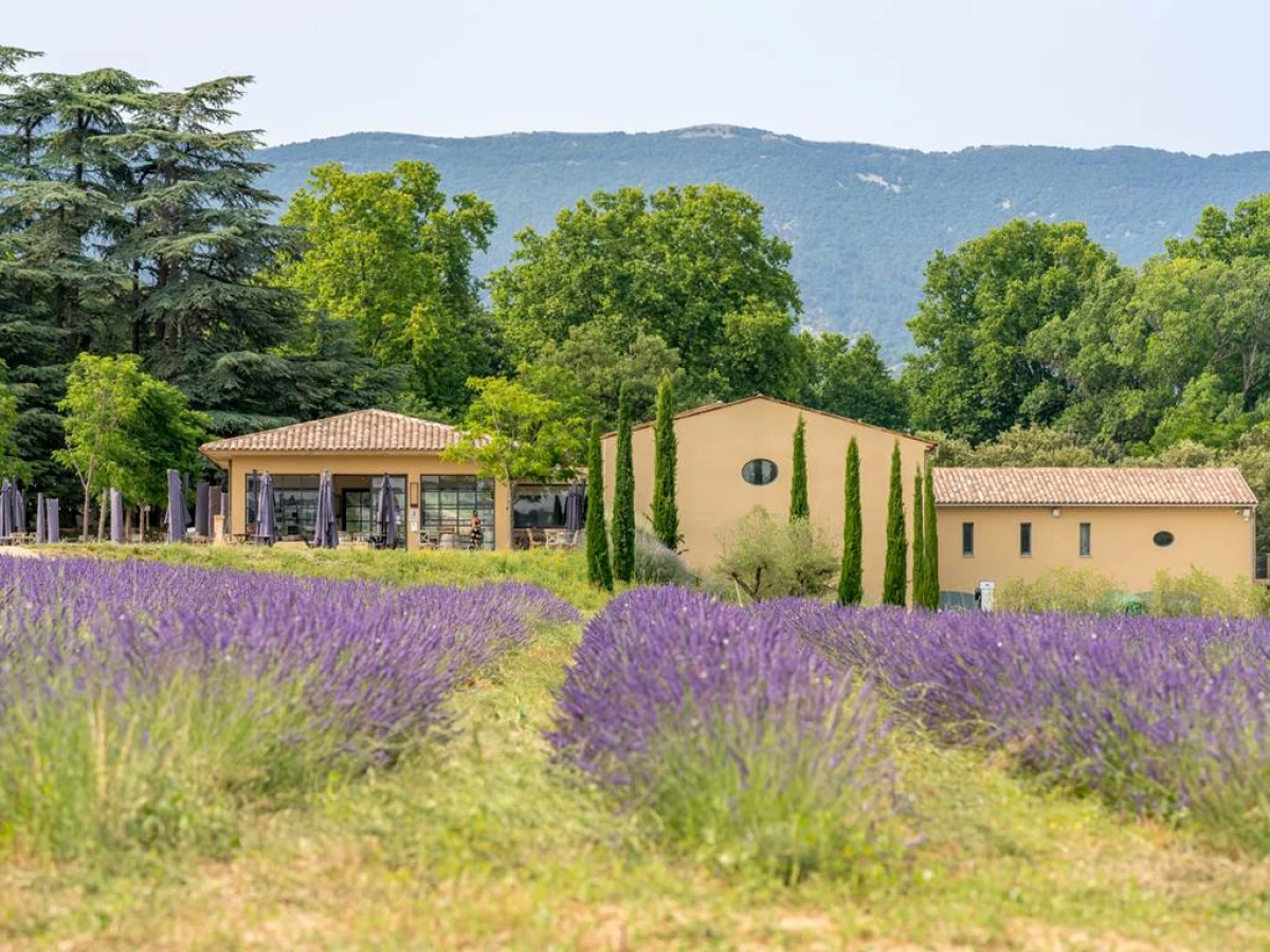De la Vigne au Verre - Vignerons Indépendants