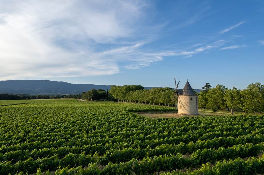 De la Vigne au Verre - Vignerons Indépendants